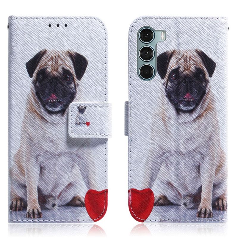 Lærdeksel Folio Deksel Moto G200 5g Pug Dog