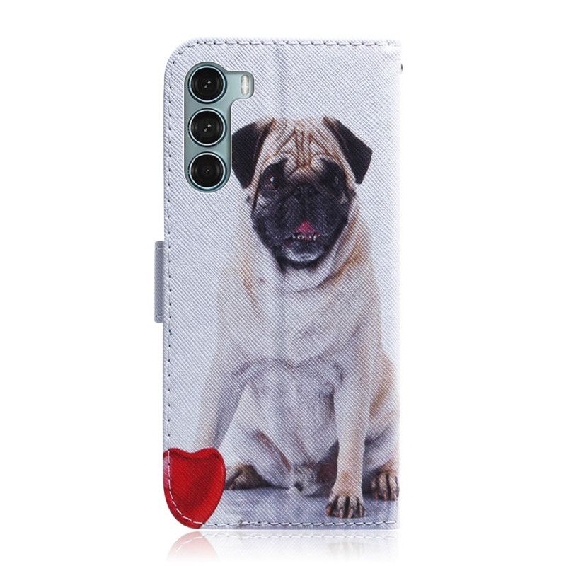 Lærdeksel Folio Deksel Moto G200 5g Pug Dog