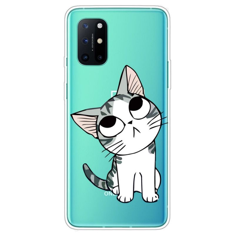 Deksel for OnePlus 8T Se På Den Grå Katten