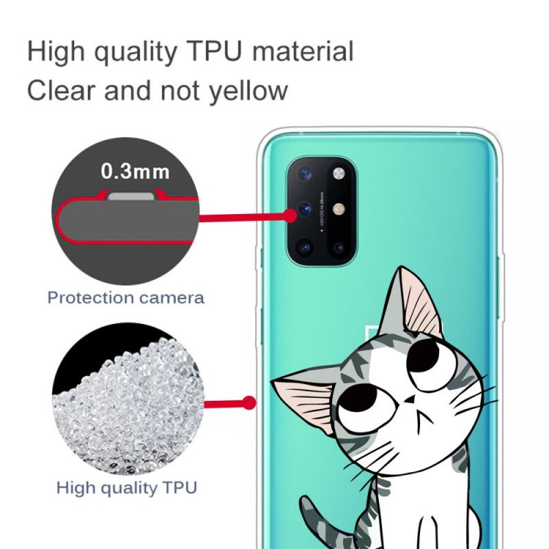 Deksel for OnePlus 8T Se På Den Grå Katten