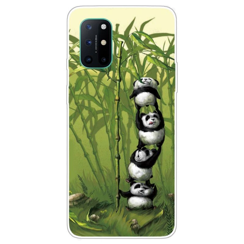 Deksel OnePlus 8T Haug Med Pandaer