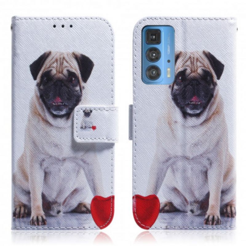 Folio Deksel Motorola Edge 20 Pro Pug Dog