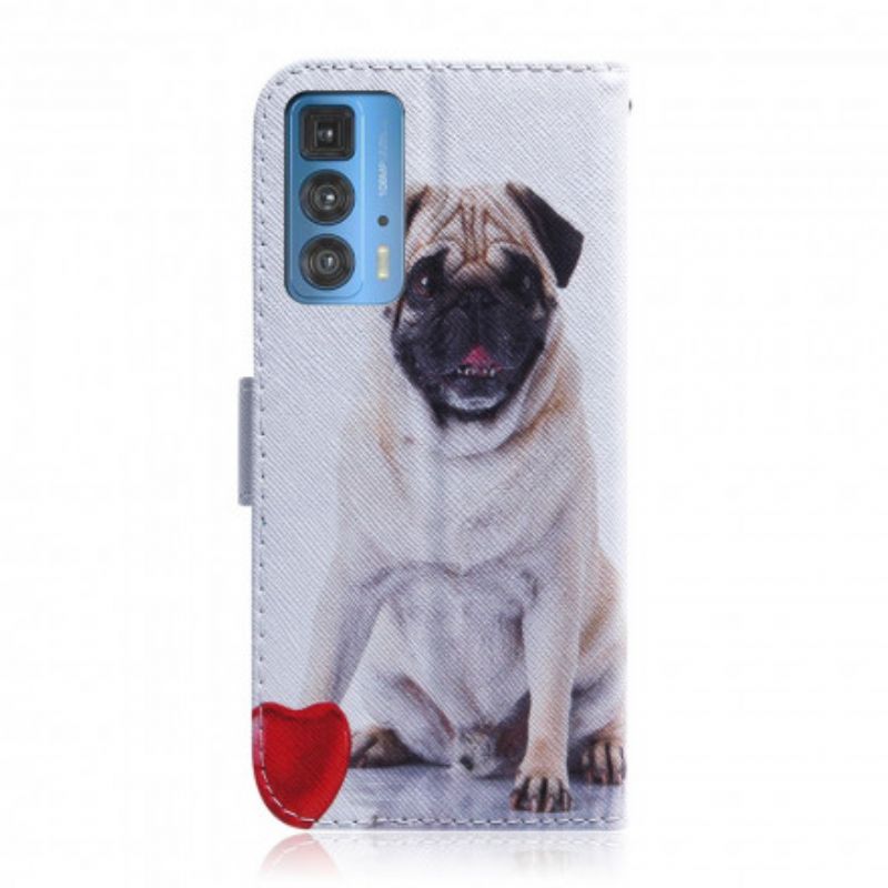 Folio Deksel Motorola Edge 20 Pro Pug Dog