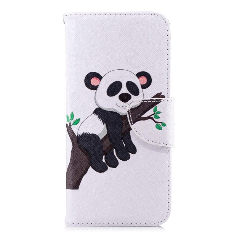 Folio Deksel Honor 10 Lat Panda