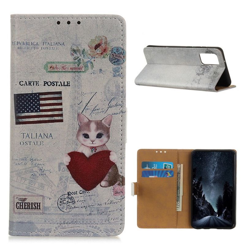 Lærdeksel Folio Deksel OnePlus 9 Mobildeksel Omreisende Katt