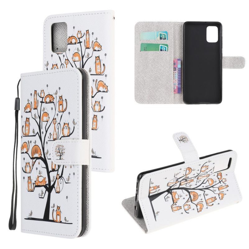 Folio Deksel for Samsung Galaxy M51 Funky Tanga Katter